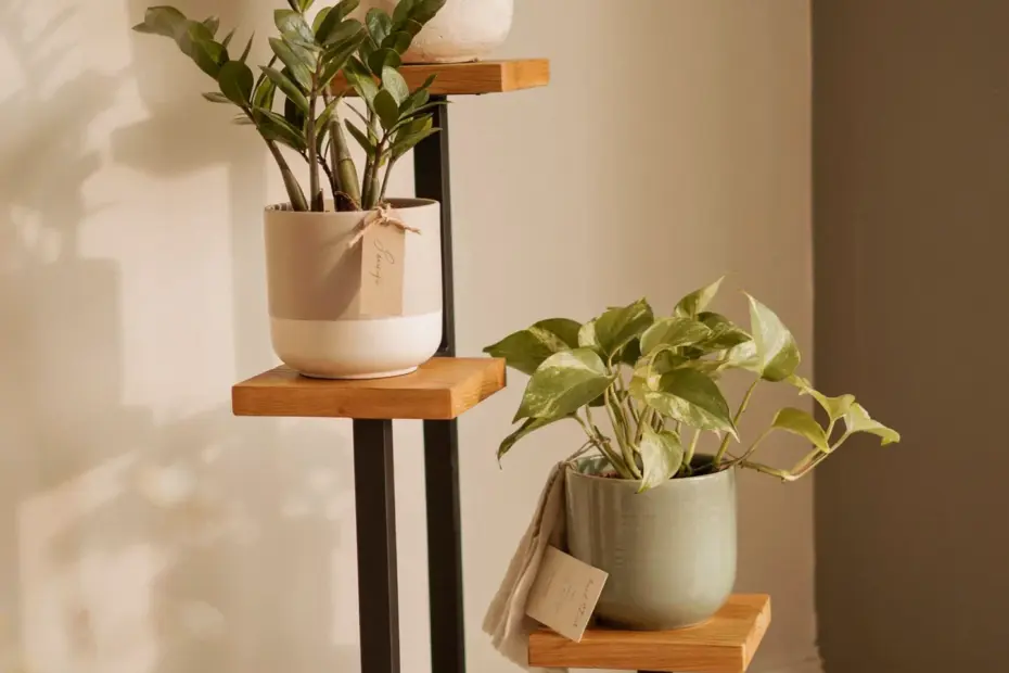 DIY Tiered Plant Stand | Scrap Wood Project for Indoor Plant Display | Small Space Plant Styling