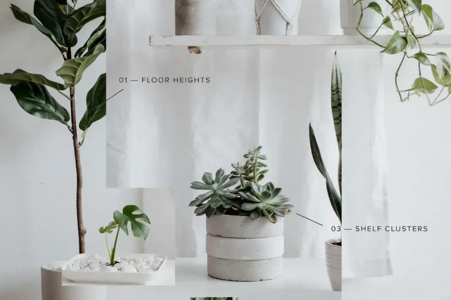 DIY Pallet Shelf for Plants | Modern Design from Recycled Wood | Indoor Plant Styling Ideas