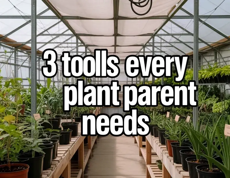 Houseplant Care Tools: 3 Essentials Every Plant Parent Needs