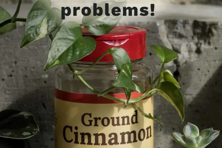 Cinnamon in garden: 8 organic uses for houseplants and outdoor plants