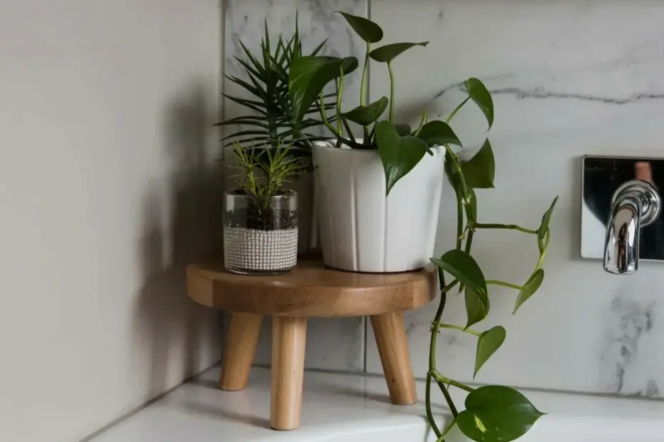Dollar Store Hack: Cheap Plant Stand from a Simple Wooden Crate πΏ