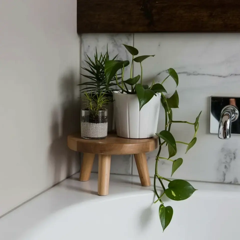 Dollar Store Hack: Cheap Plant Stand from a Simple Wooden Crate πΏ