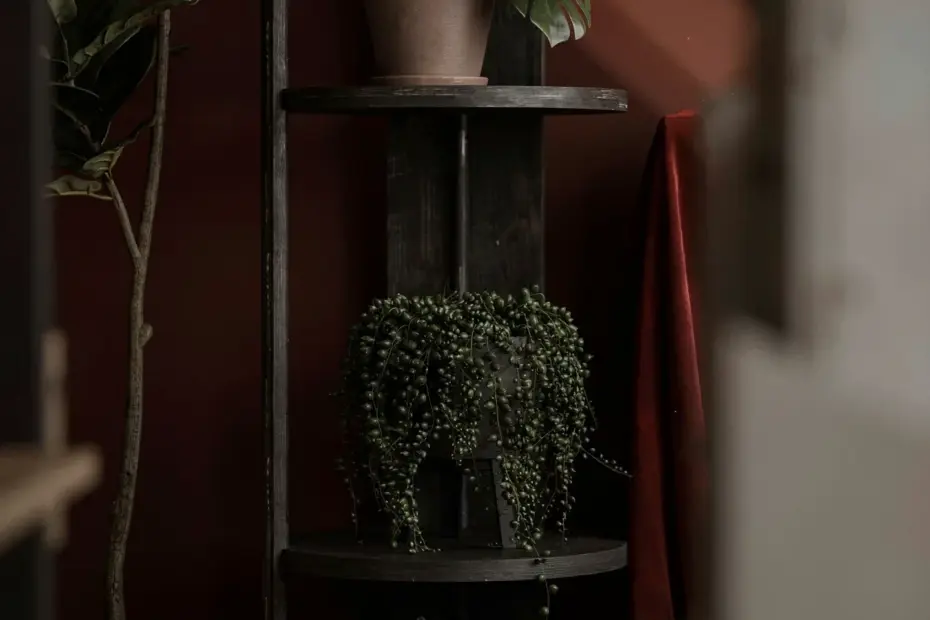 Modern Pallet Plant Stand DIY: Before & After with Recycled Wood