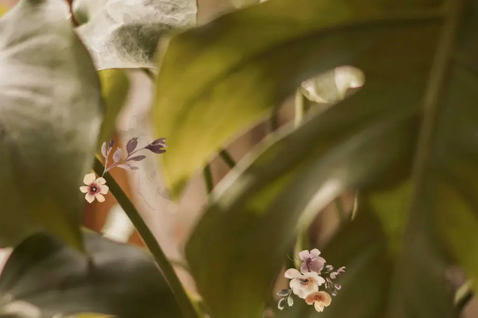 Houseplant Soil Tips | Get Thriving Plants with Perfect Moisture Balance | Indoor Care Guide