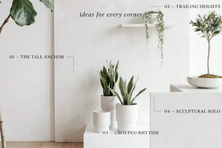 DIY Pallet Shelf for Plants - Modern Upcycled Wood Shelving