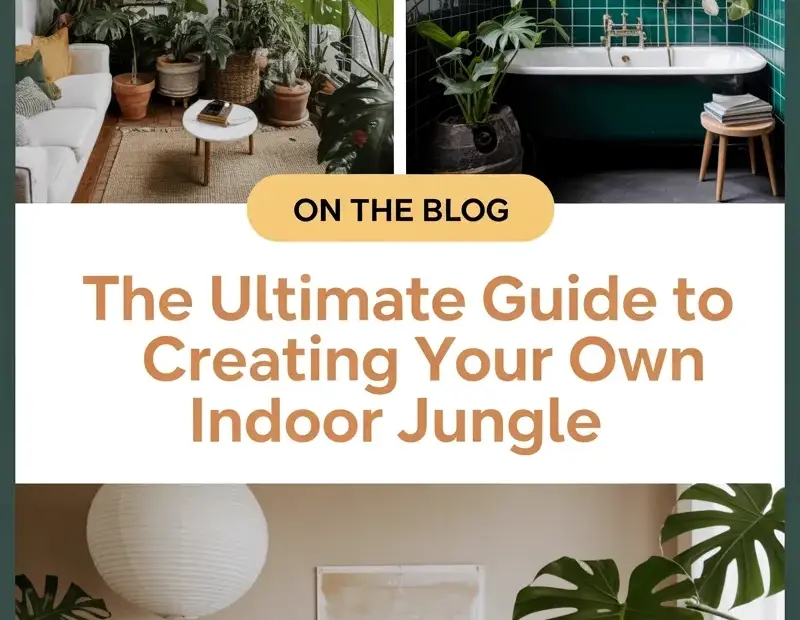How to Style an Indoor Jungle: 3 Rooms with Monstera & Hanging Plants