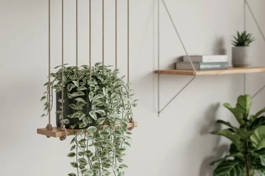 How to Hang a Pothos Plant Indoors – Simple Rope & Wood Bar Trick