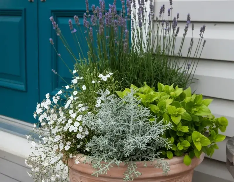 Cozy Front Door Planter Ideas with Lavender | Terracotta Pot Inspiration
