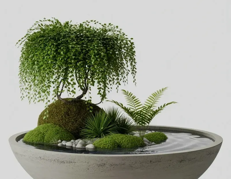 How to Build a Zen Garden Terrarium in a Concrete Bowl | Indoor Plant Decor